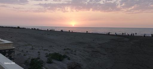 ساحل دریا محمودآباد