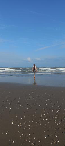 عکس ساحل دریا محمودآباد