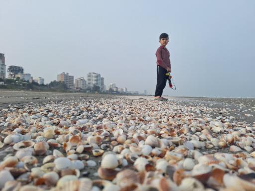 عکس ساحل دریا محمودآباد