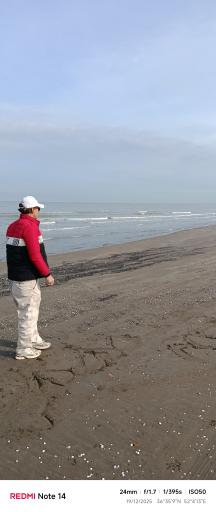 عکس ساحل دریا محمودآباد