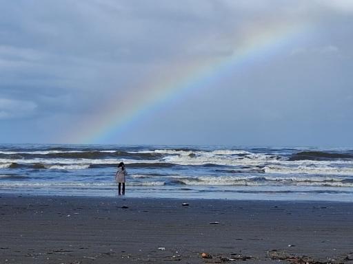 عکس ساحل دریا محمودآباد