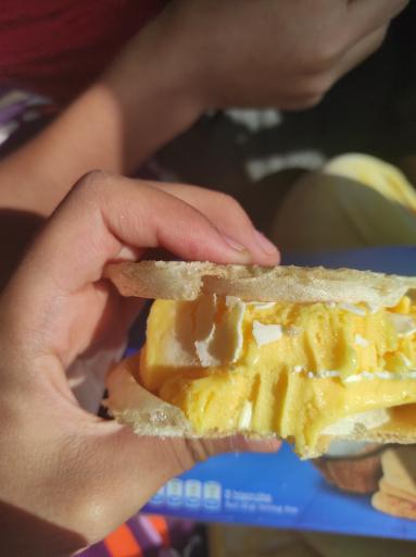 عکس اکبربستنی