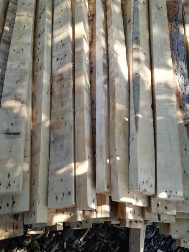 عکس انبار چوب محمدیان 