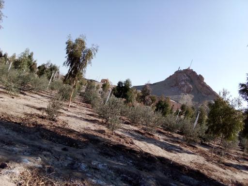 عکس بوستان خضر نبی