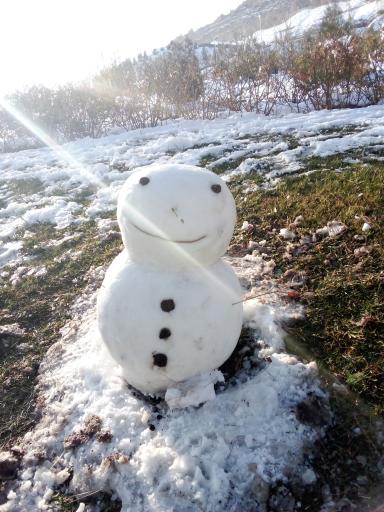 بوستان خضر نبی
