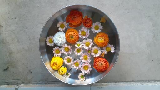 عکس کافه اسکای