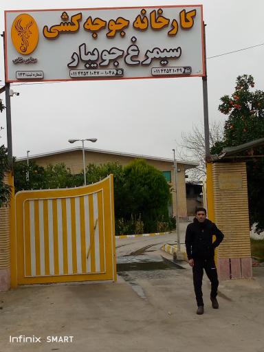 عکس کارخانه جوجه‌کشی‌ سیمرغ‌ جویبار