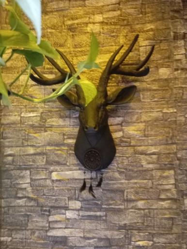 عکس کافه گوزن