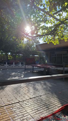 عکس جوجه کباب سنتی حاج شفیع