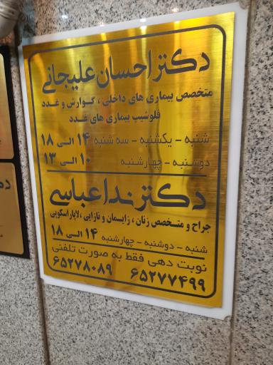 دکتر ندا عباسی متخصص زنان زایمان و نازایی