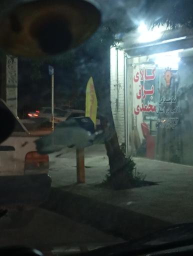 عکس کالای برق محمدی