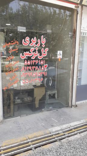 عکس باربری گل نرگس