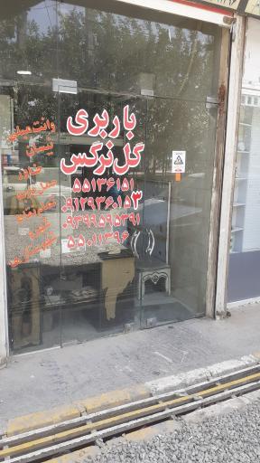 باربری گل نرگس