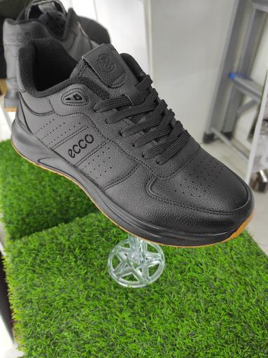 عکس امید اسپرت اراک