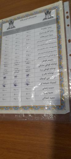 عکس تالار پذیرایی طلائیه