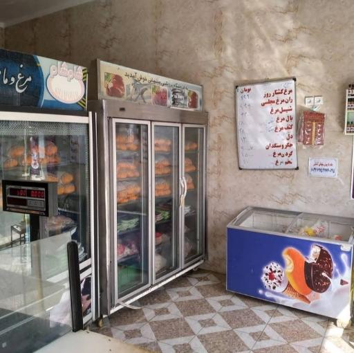 عکس مرغ و ماهی سلیمانی