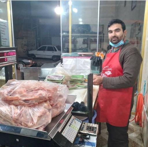 عکس مرغ و ماهی سلیمانی