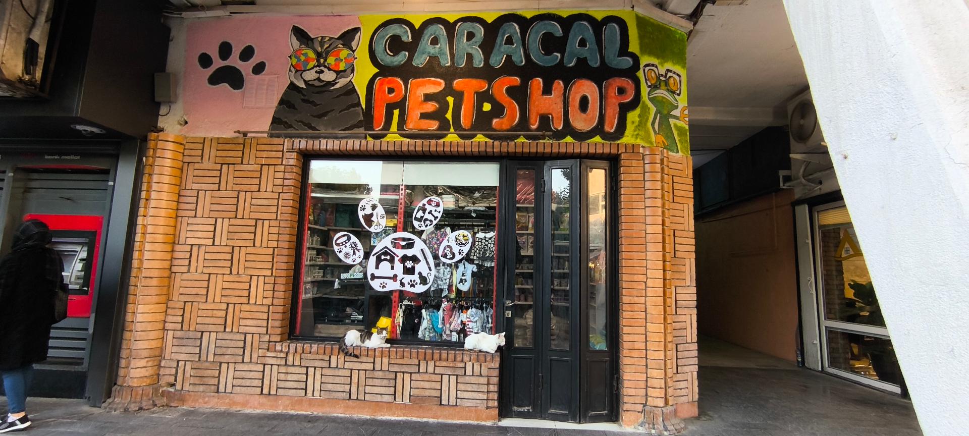 عکس پت شاپ کاراکال 
