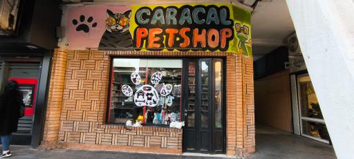 عکس پت شاپ کاراکال 