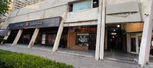 عکس پت شاپ کاراکال 