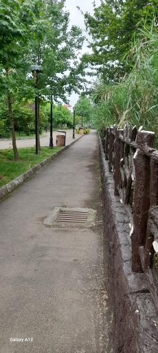 عکس پارک فضای سبز 