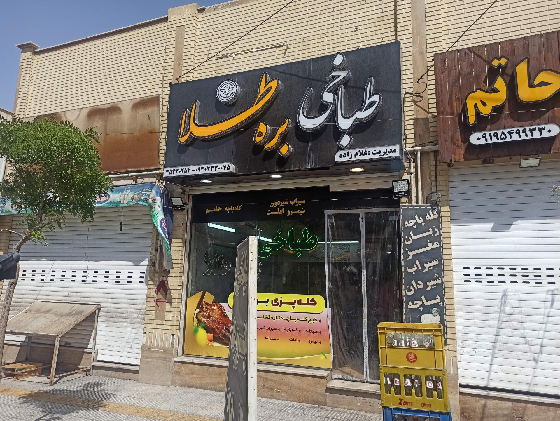 عکس طباخی بره طلا 