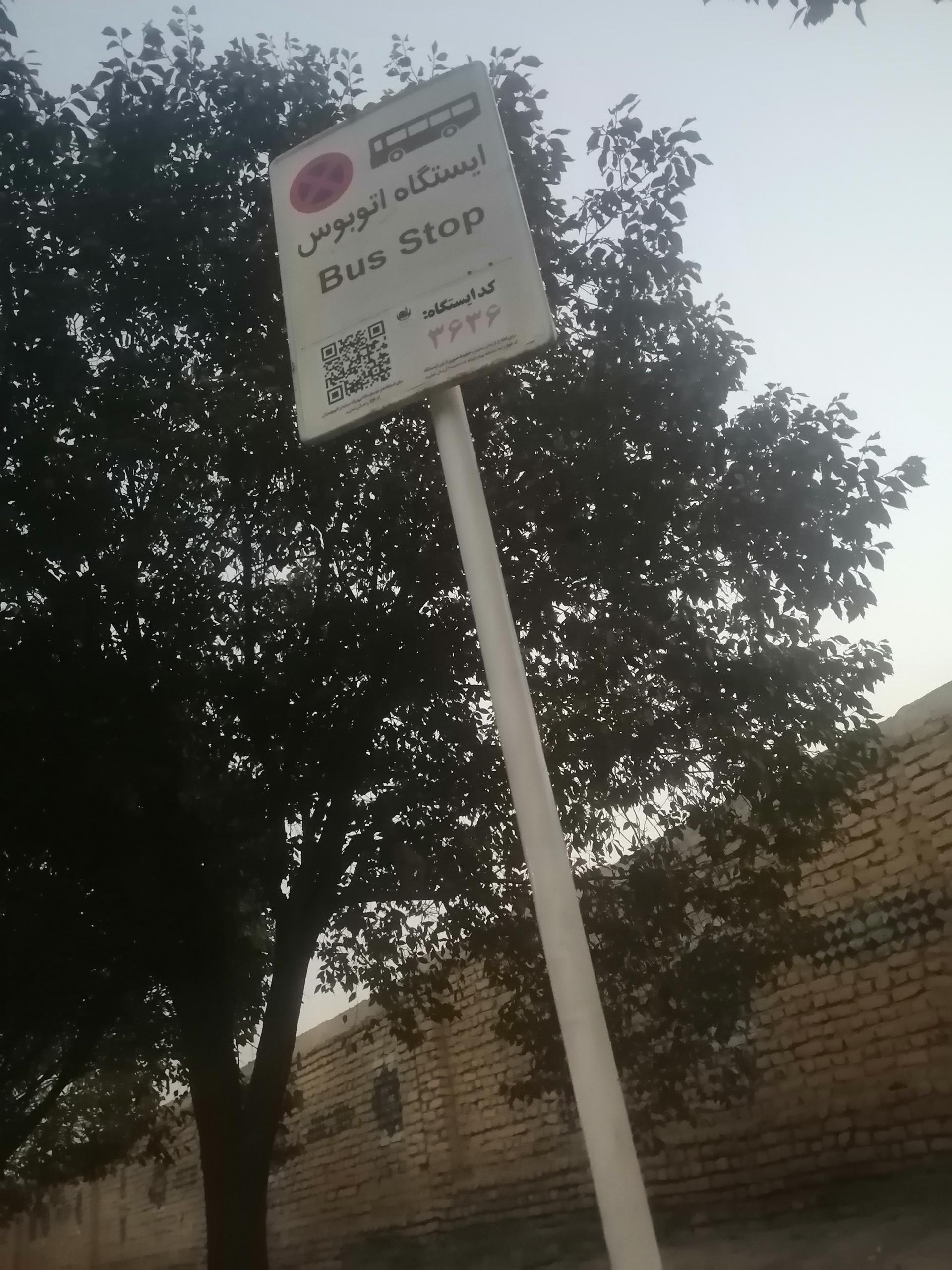 عکس  مصلی 30/2