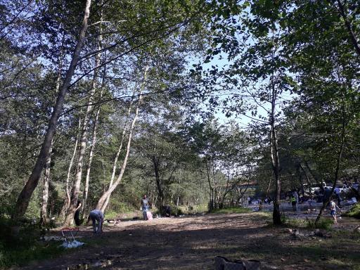 عکس مجتمع تفریحی پاشا