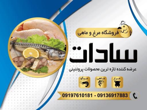 عکس مرغ و ماهی سادات