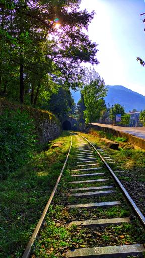 عکس ایستگاه راه آهن شیرگاه