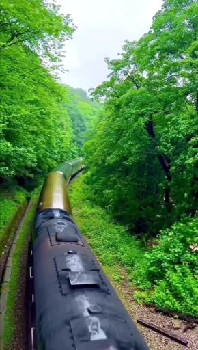 عکس ایستگاه راه آهن شیرگاه