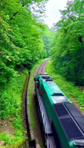 عکس ایستگاه راه آهن شیرگاه