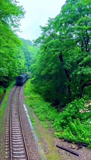 عکس ایستگاه راه آهن شیرگاه