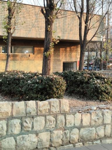 عکس سرویس بهداشتی