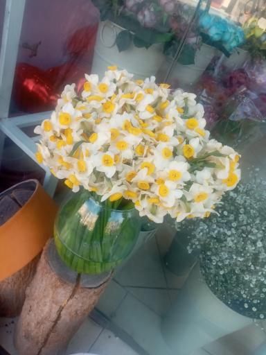 عکس گل فروشی آفتاب