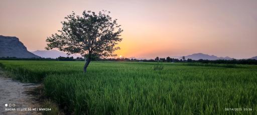 عکس نکوآباد