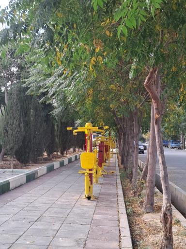 عکس پارک کاملیا