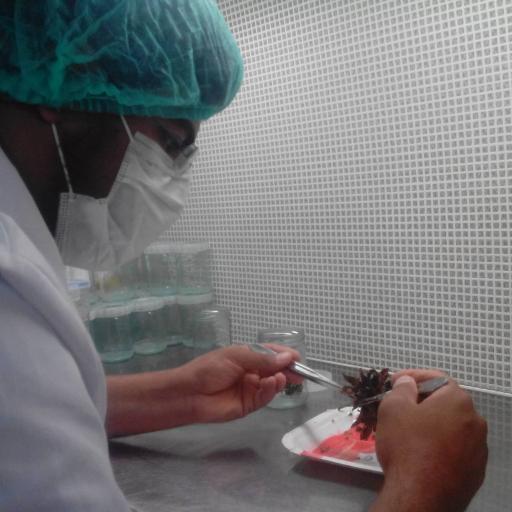 عکس شرکت کشت بافت گیاهی ریز افزا باران