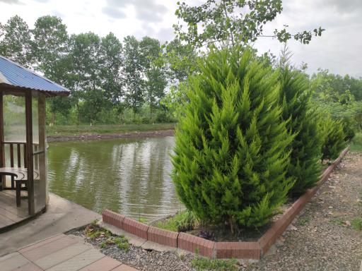 عکس مجتمع توریستی خورشید