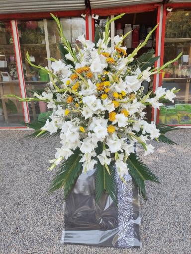 عکس گل فروشی نادری