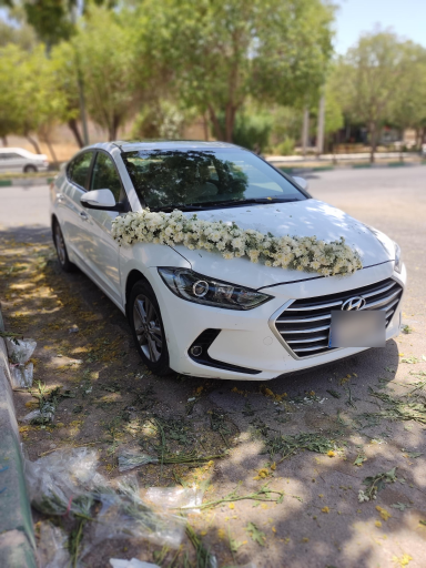 عکس گل فروشی نادری