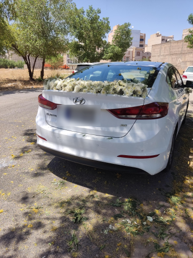 عکس گل فروشی نادری