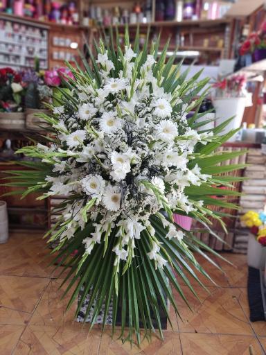 عکس گل فروشی نادری