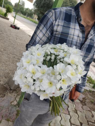 عکس گل فروشی نادری