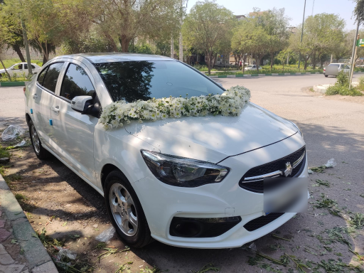 عکس گل فروشی نادری