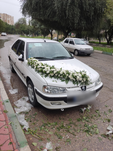 عکس گل فروشی نادری