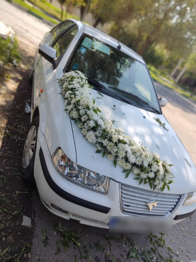 عکس گل فروشی نادری