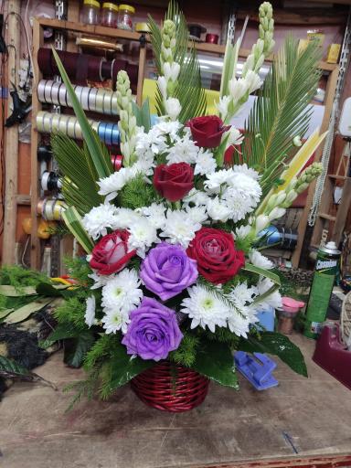 عکس گل فروشی نادری