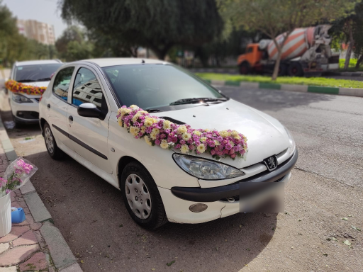 عکس گل فروشی نادری