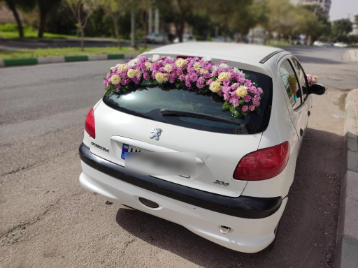 عکس گل فروشی نادری